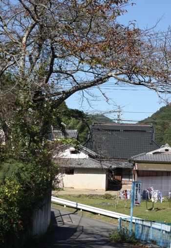 d0125208_13302030.jpg