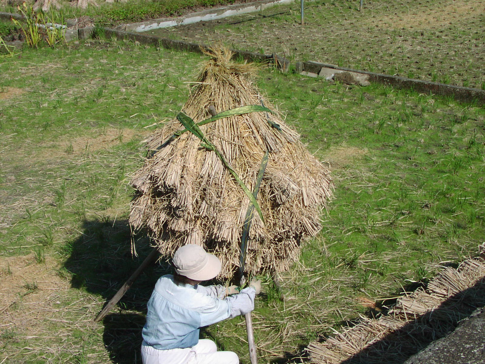 f0164410_2248393.jpg