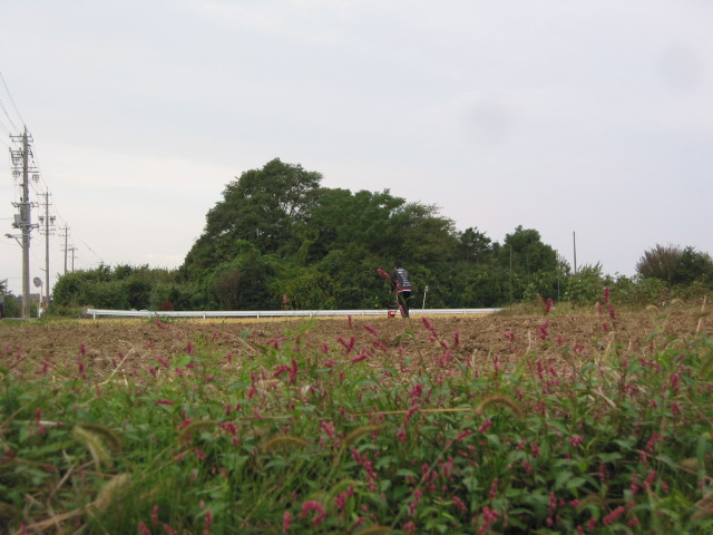 「なたね播種 2011」_a0120513_19354474.jpg