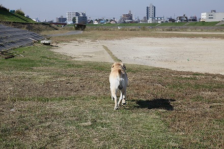 f0191413_21111963.jpg