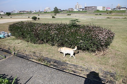 f0191413_2111621.jpg