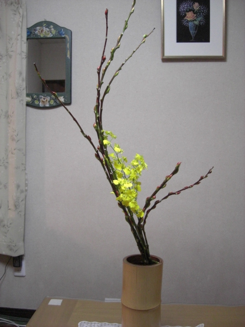ネコヤナギのお生花_f0226713_2355435.jpg