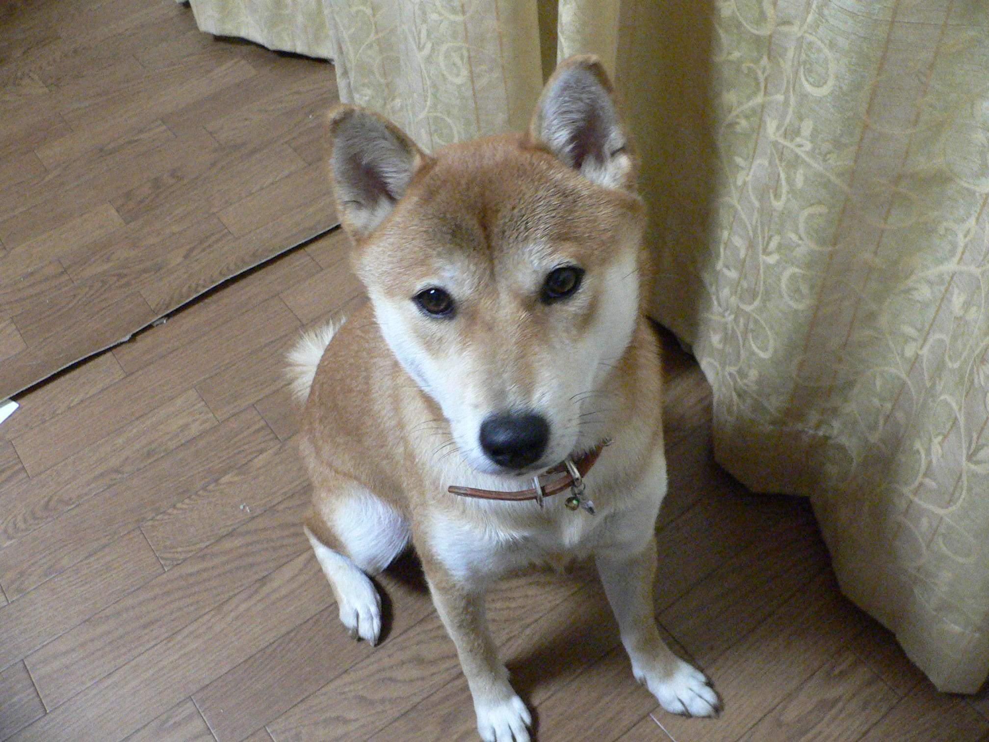 a0190414_22364623.jpg