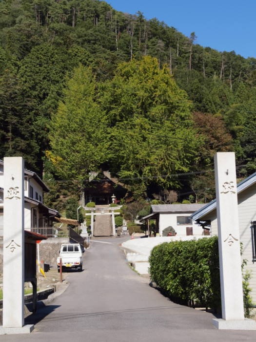 客人神社のイチョウ_c0116915_013389.jpg