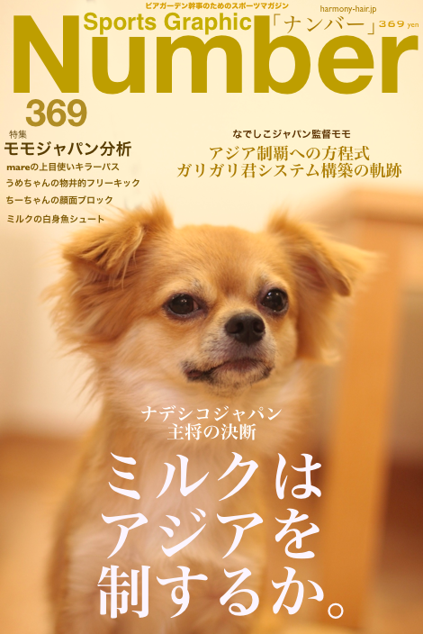 完売!! 雑誌「Number」特別号 _c0222817_21173211.png
