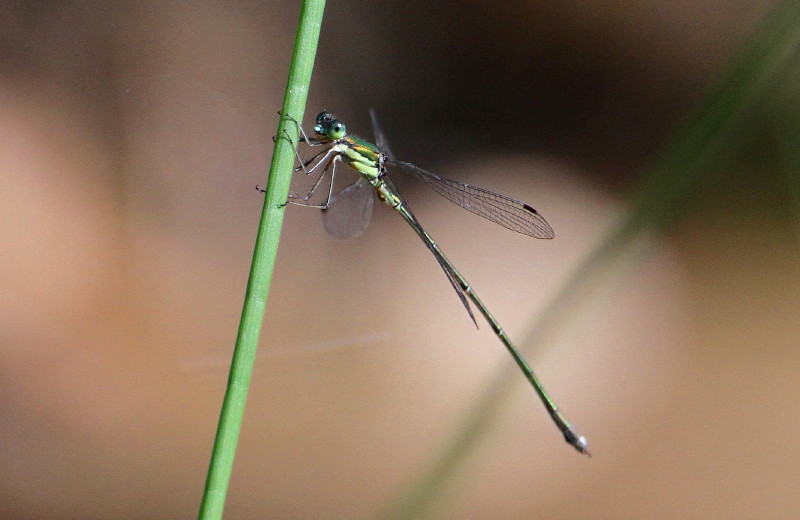 b0179023_2036357.jpg