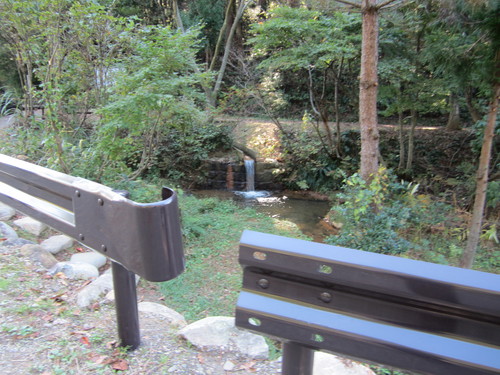 f0009028_15545636.jpg