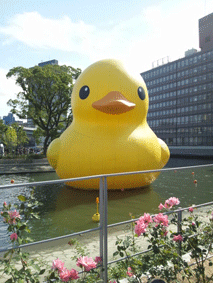 d0048332_22371112.gif