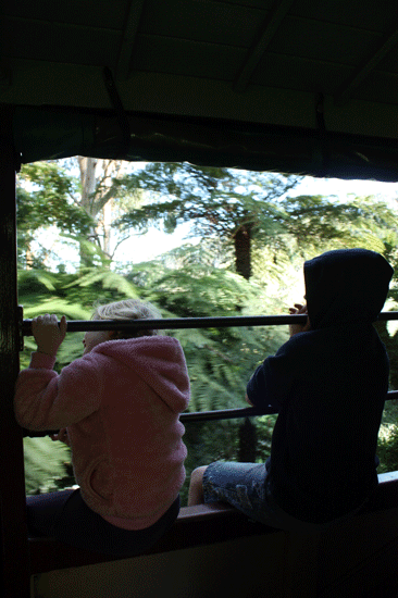 f0078132_57831.gif