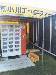 たまごの自販機_b0211033_633475.jpg