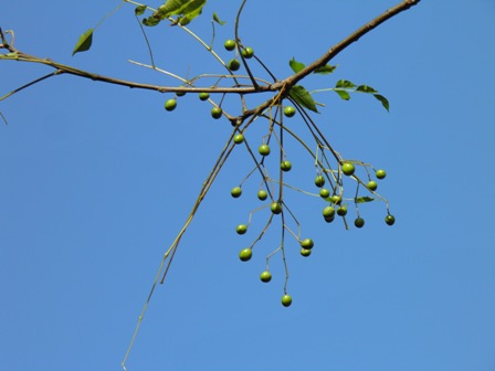 a0123836_1882915.jpg