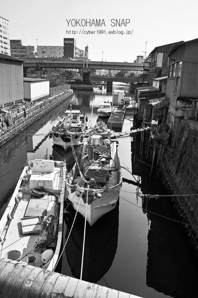 f0009439_2120404.jpg
