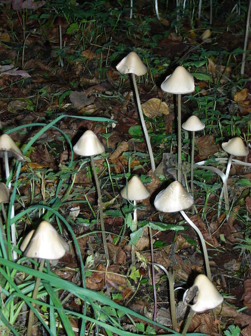 c0212741_16134679.jpg