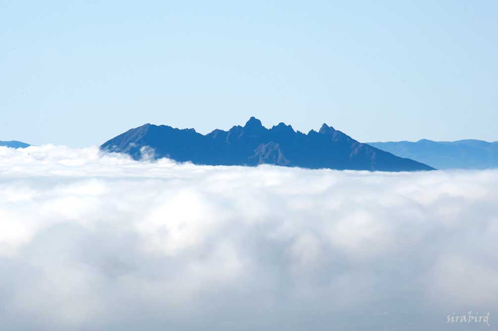 やっと阿蘇五岳の雲海を･･･_d0238245_2262663.jpg