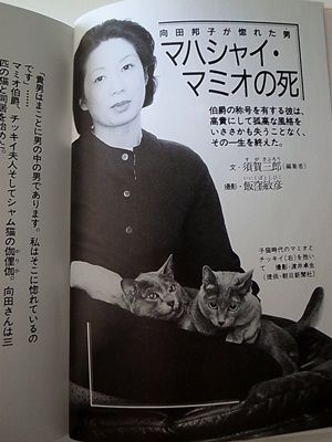 向田邦子 こふでの書道とごはん