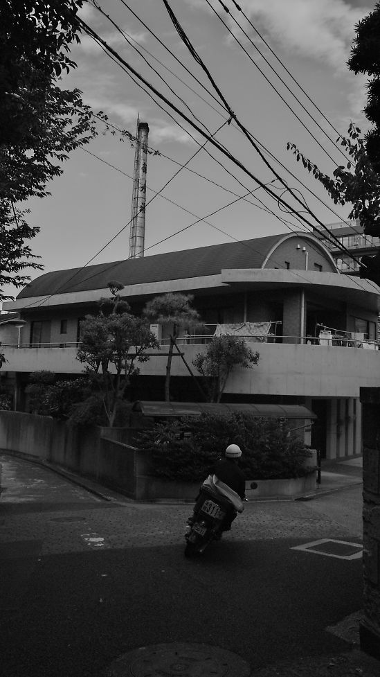 c0008948_1738389.jpg