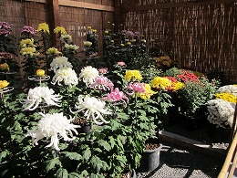 d0048350_21133148.jpg
