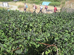 d0048350_21142080.jpg