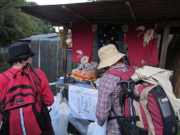d0048350_21145230.jpg