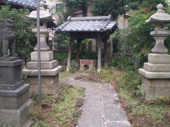 d0250051_92455.jpg