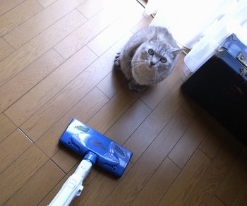 ミラクル☆ジェット ~その驚くべき力~_b0059053_074540.jpg