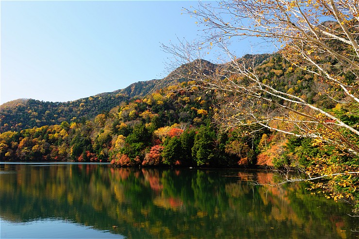 湯の湖 ~紅葉~_f0222161_1183191.jpg