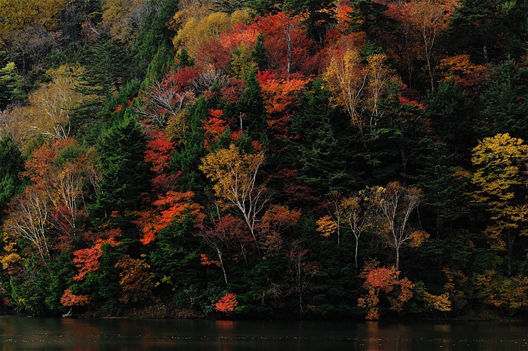 湯の湖 ~紅葉~_f0222161_118770.jpg