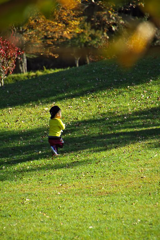 富士北麓公園ほか（１０月２６日）_c0057265_3124677.jpg