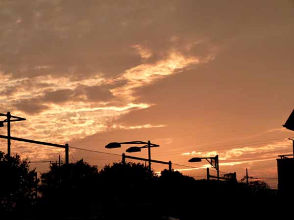 f0086169_15765.jpg