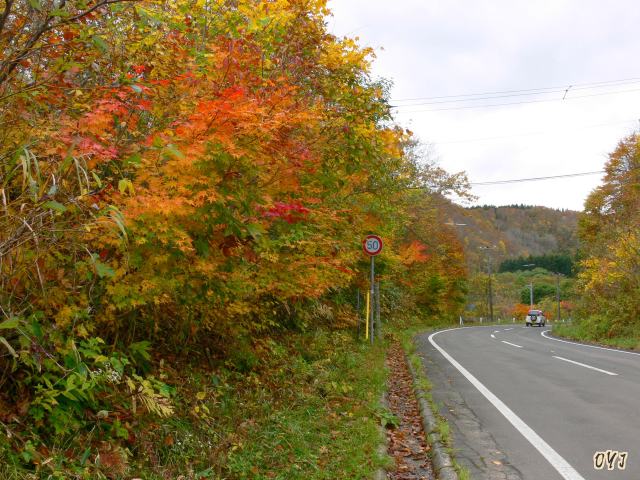 湯の里温泉『里山の紅葉』　②_f0166871_18154165.jpg