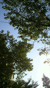 b0134285_22145527.jpg