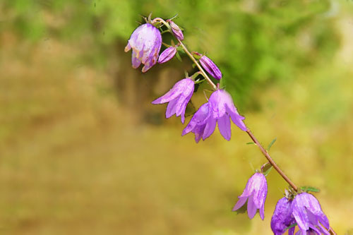 f0212586_761753.jpg