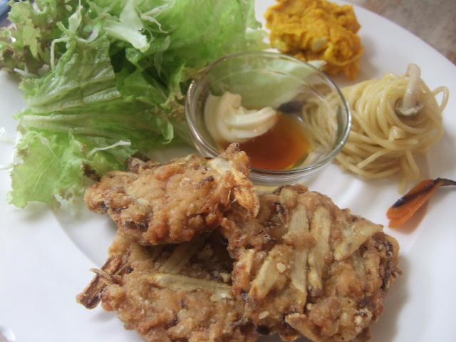 ごぼうのネギ焼き風つくね_c0128487_20225262.jpg