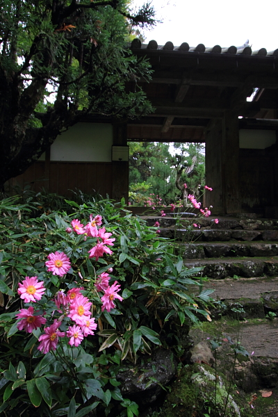 宗蓮寺_e0051888_016970.jpg