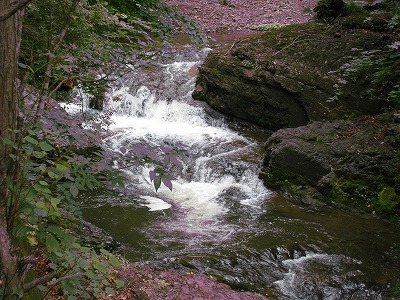 b0191190_20245366.jpg