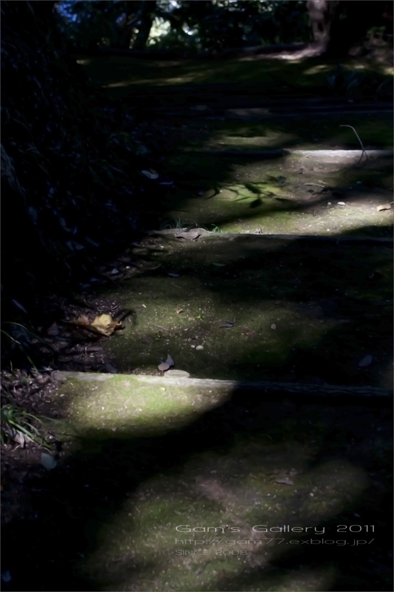 f0195893_6304656.jpg