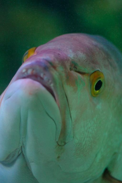 d0069495_205820100.jpg