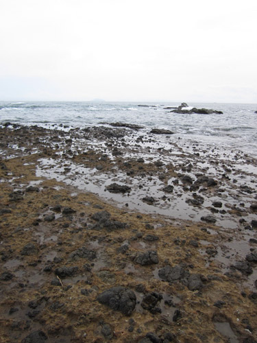 f0189895_16551334.jpg