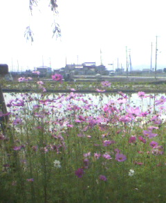 a0080002_23531486.jpg
