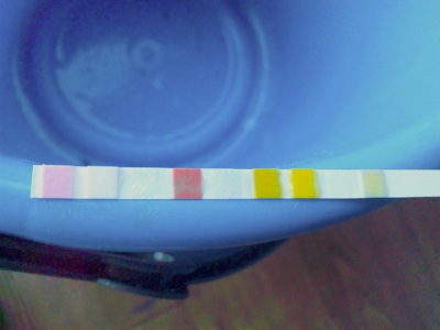 f0082402_22401094.jpg