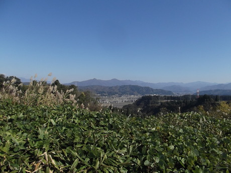 a0203003_1921123.jpg