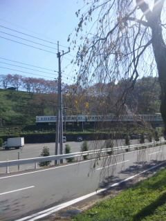 f0069907_23323538.jpg