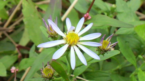d0238608_15133040.jpg