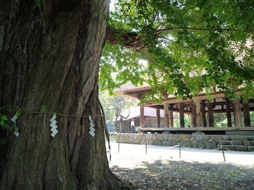 c0120210_20131329.jpg
