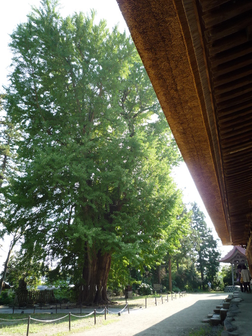 c0120210_20133231.jpg