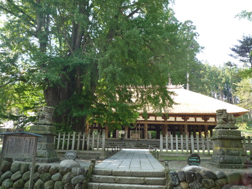 c0120210_205542.jpg