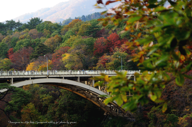 鳴子紅葉_a0162813_21433354.jpg