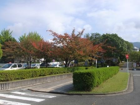 d0007913_21253525.jpg