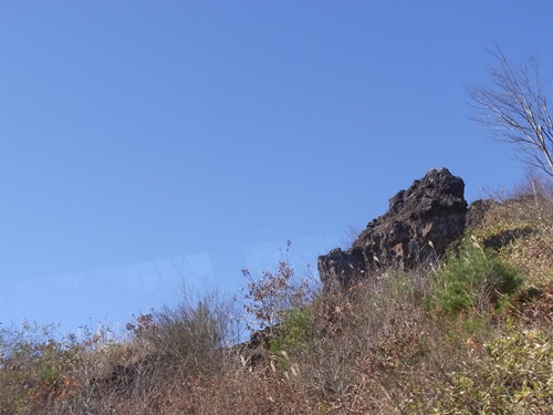 c0223117_2142894.jpg
