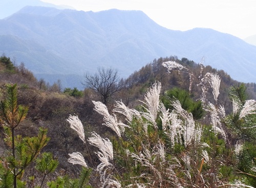 c0223117_2212775.jpg